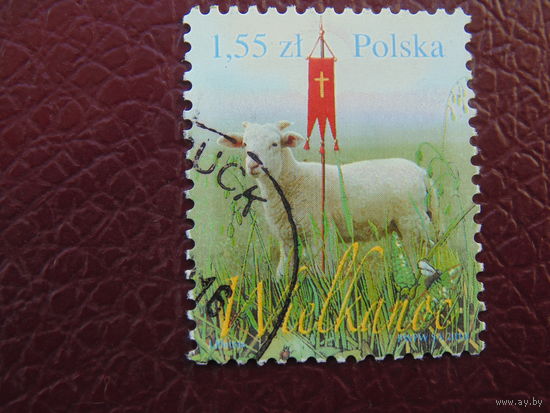 Польша 2010г. Фауна
