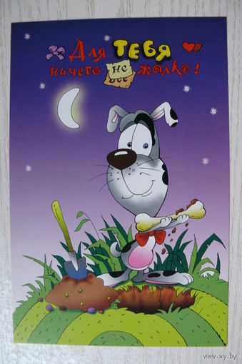 2002, Беларусь; Чайчук В. и А., Для тебя ничего не жалко! чистая, 12*18 см.