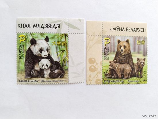Беларусь  2024  2 м   медведи