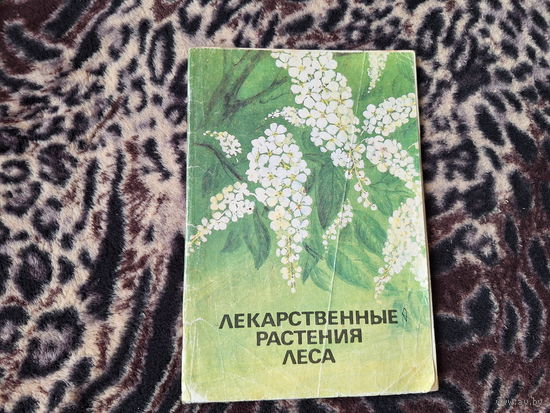 Лекарственные растения леса 1991