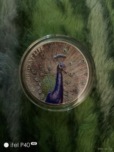 Один доллар Исландия