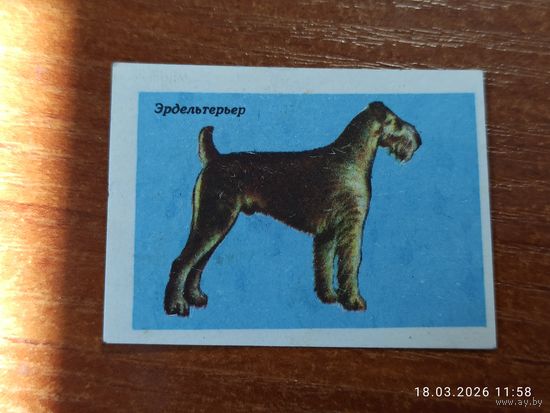 Спичечная этикетка Эрдельтерьер