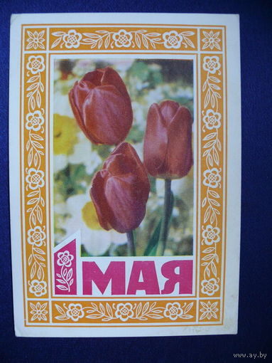 Пармеев Б., 1 мая, 1975, подписана.