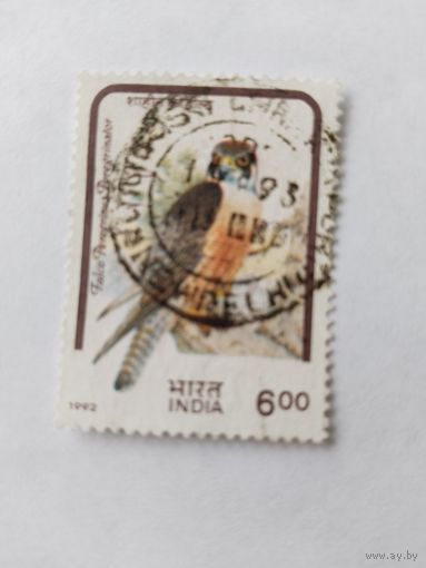 Индия 1992