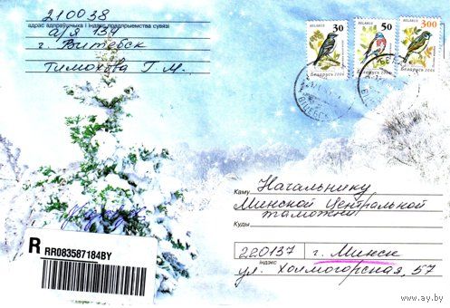 2007. Конверт, прошедший почту "Ель в снегу"