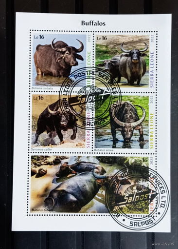 ЛИСТ ФАУНА животные  СТО