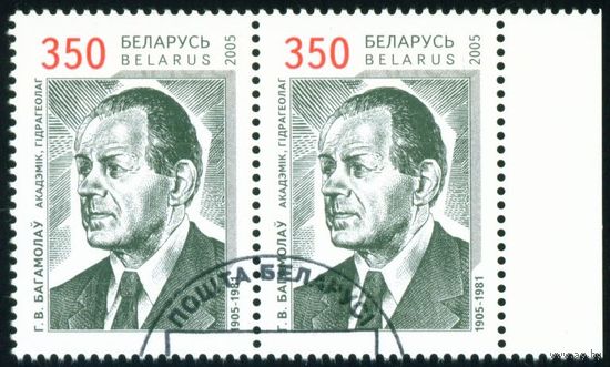 100 лет со дня рождения академика Г.В. Богомолова Беларусь 2005 год (602) сцепка из 2-х марок