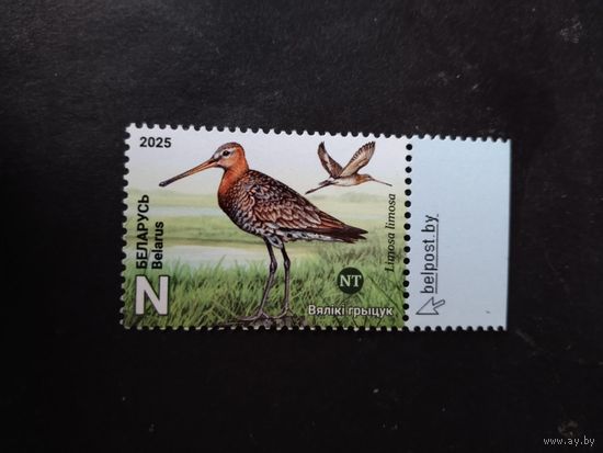 Беларусь  2025 птица года