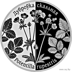 Лапчатка скальная. Дубровка скальная. 1 рубль
