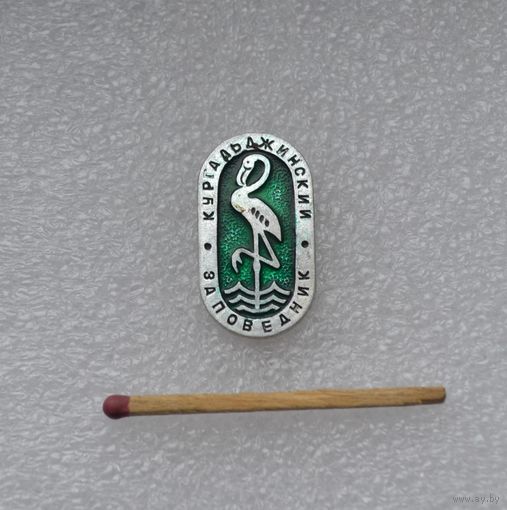 Кургальджинский заповедник.