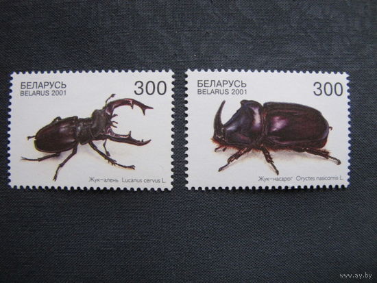 Марки РБ (##403-404). Жук Олень. Жук Носорог