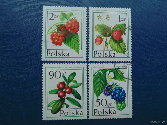 Польша. Флора.