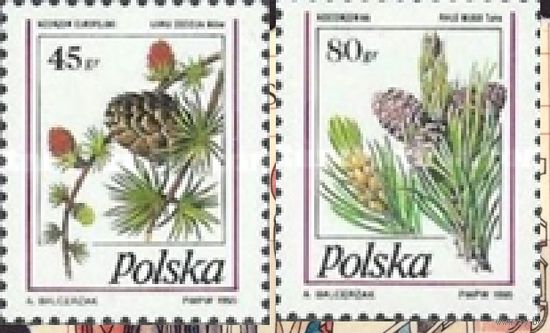 Польша. Стандарт Шишки Флора 1995 Хвойные деревья**