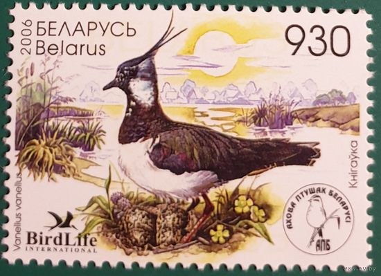 2006 Птица года в Беларуси - Чибис Беларусь