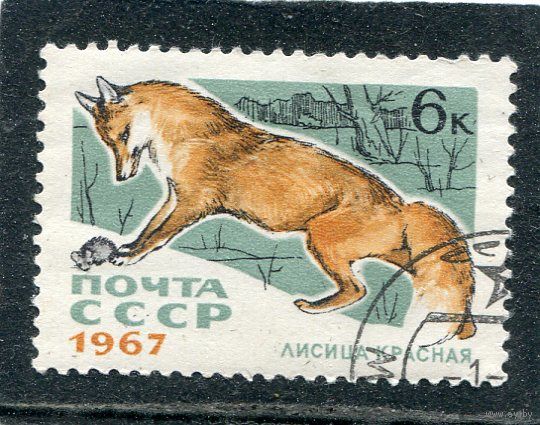 СССР 1967.. Пушные звери. Лисица красная