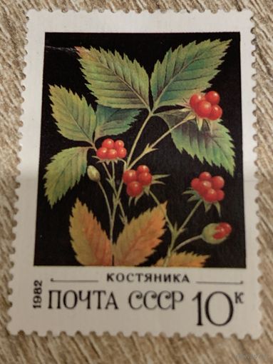 СССР 1982. Костяника. Марка из серии