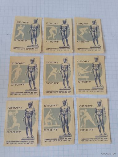 Спичечные этикетки ф.Бийск. Спорт. 1967 год