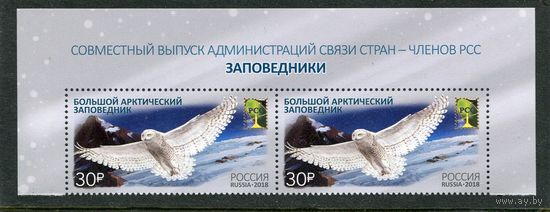 Россия 2018. Большой арктический заповедник. Верхняя сцепка листа