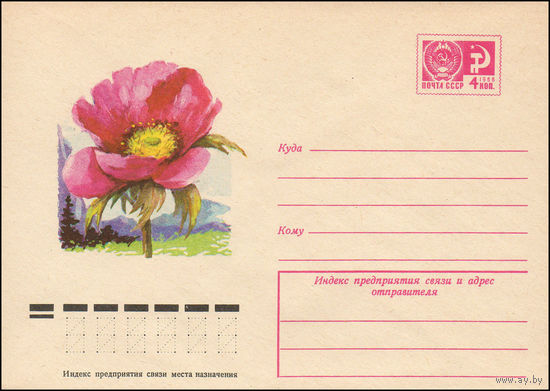 Художественный маркированный конверт СССР N 9729 (20.05.1974) Пион средний