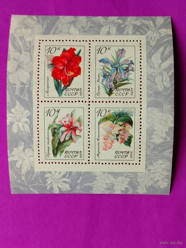 СССР.  Тропические и субтропические растения. ( Блок ) 1971 года. *108.