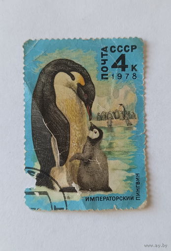Марки СССР. Почта СССР 1978г. Императорский пингвин.