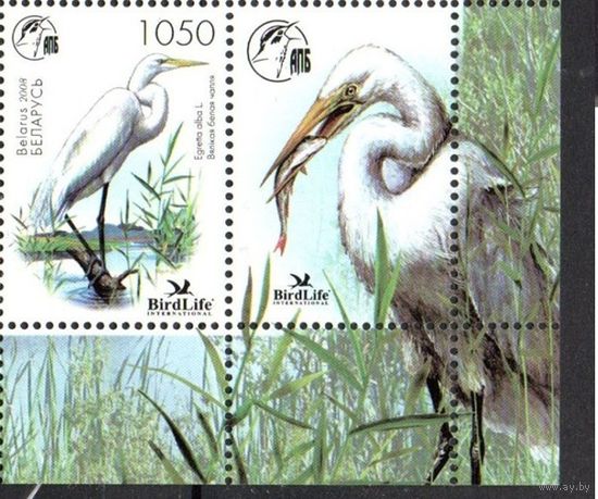 2008 Беларусь Фауна Птица года Белая цапля марка + купон By-295 **