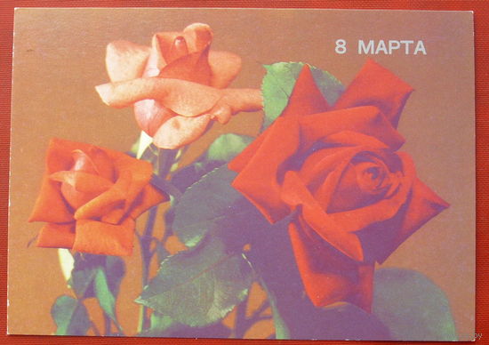 8 Марта! Чистая. 1989 года. Круцко. *313.