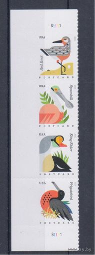 [1405] США 2015. Фауна.Птицы.