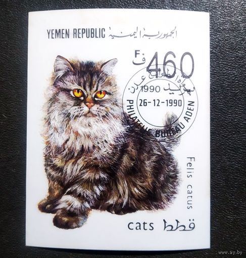 Блок Йемен 1990 год Кошка