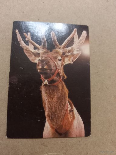 Календарик