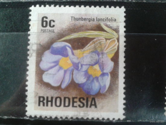Родезия, 1974. Цветы