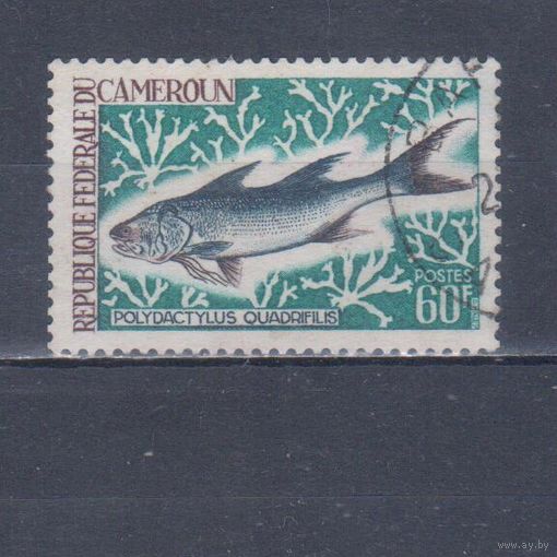 [2491] Камерун 1968. Фауна.Рыба. Концовка серии.Гашеная марка.
