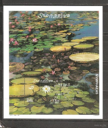 Сомали 2001 Цветы флора MNH