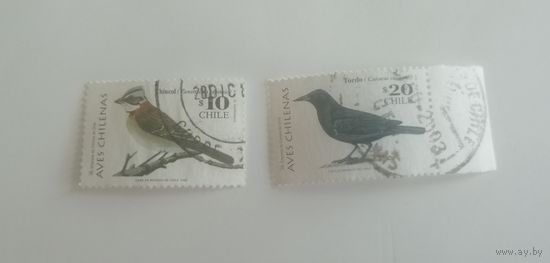 Чили 1998. Птицы. Полная серия