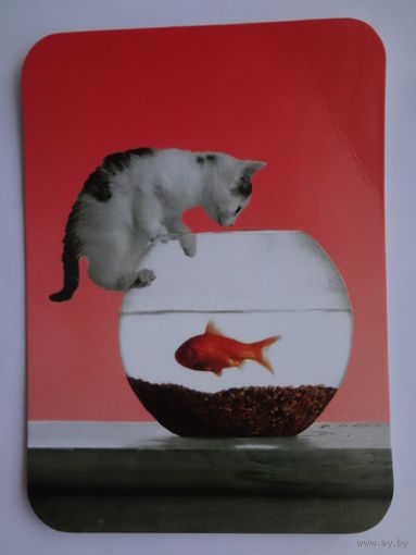 Календарик 20000 г. Котенок и рыбка.