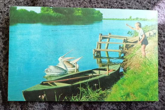 Дельта Волги.Заповедник.