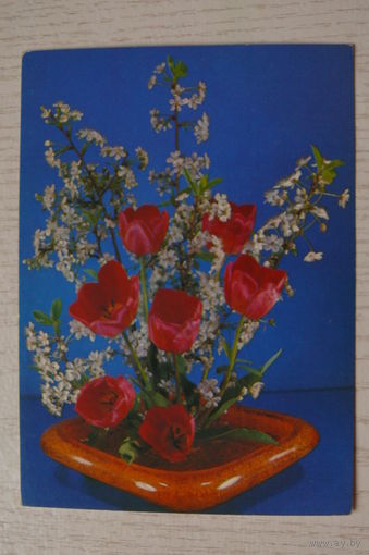 Баранников В., Цветы, 1985, чистая.