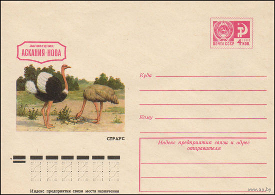 Художественный маркированный конверт СССР N 10480 (21.04.1975) Заповедник Аскания-Нова  Страус