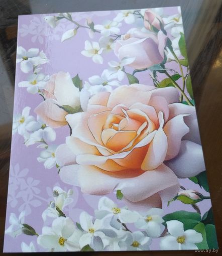 2025 год Розы