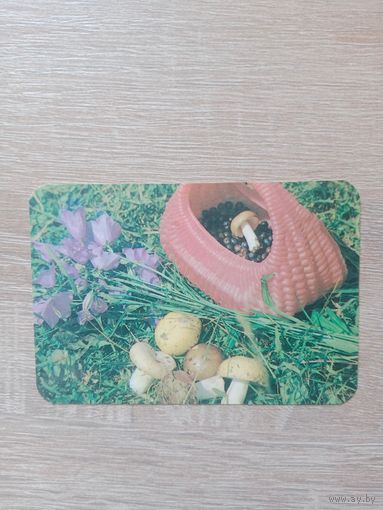 Календарик 1991