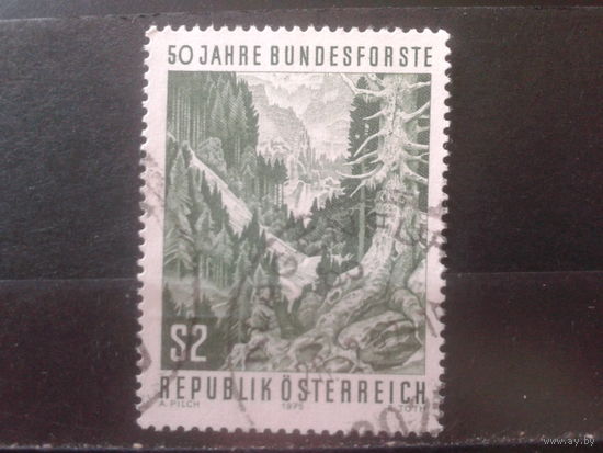 Австрия 1975 Природа, лес