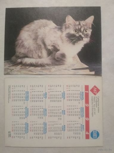 Карманный календарик. Котик.1994 год