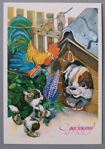 С Днём рождения! Ю.Ясюкевич.  Открытка, чистая, 1985г.