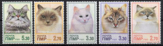 ПМР Приднестровье 2013. Фауна. Кошки. 5 марок (390)