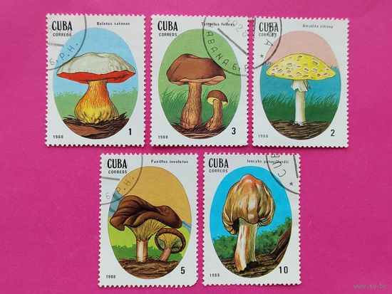 Куба. Грибы. ( 5 марок ) 1988 года. 3-5.