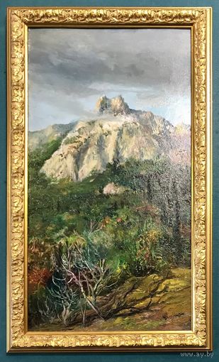 Багрянцев Н.М.