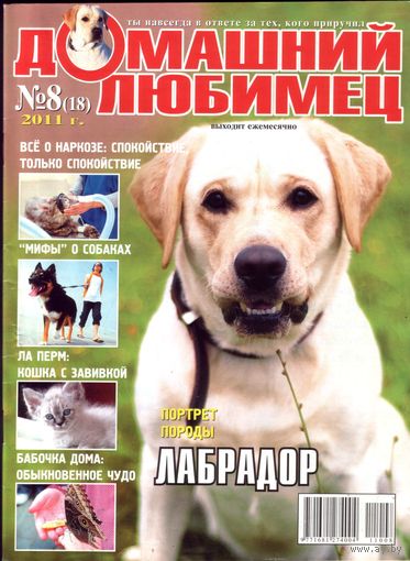 Домашний любимец #18
