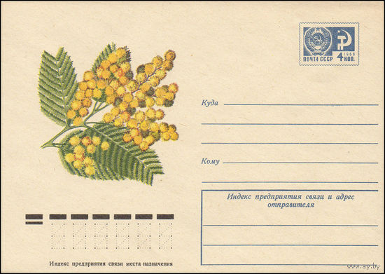 Художественный маркированный конверт СССР N 10099 (05.11.1974) Акация серебристая
