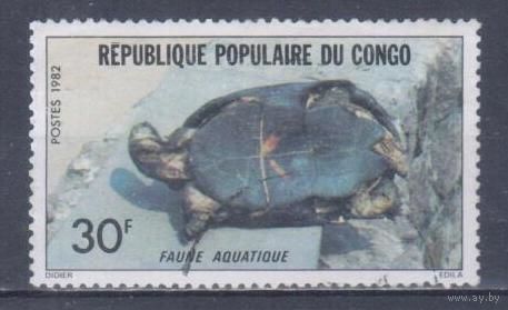 [577] Конго 1982. Фауна.Черепаха. Гашеная марка.