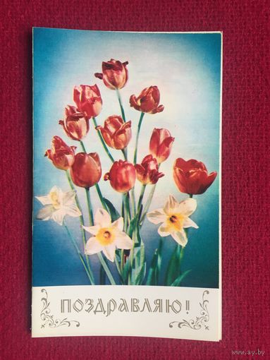 Поздравляю! Левянт 1974 г. Двойная. Чистая.